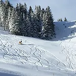 호텔 Planinka Ljubno