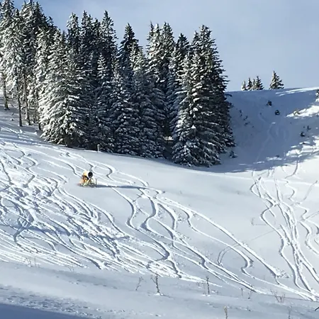 Отель Planinka Ljubno