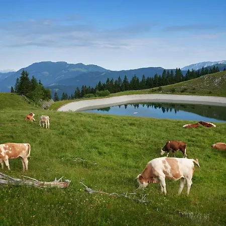 Planinka 4* Ljubno