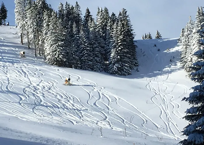 فندق Planinka Ljubno